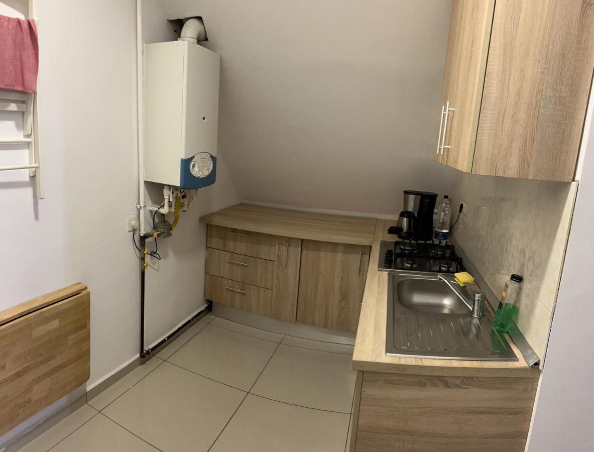 Chez Ana Apartman Otopeni Kültér fotó