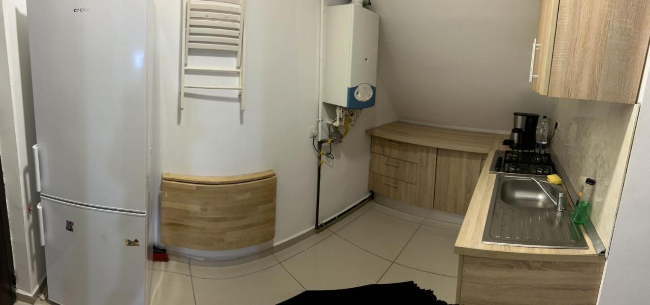 Chez Ana Apartman Otopeni Kültér fotó